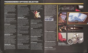 1983 Ford Thunderbird-18-19.jpg